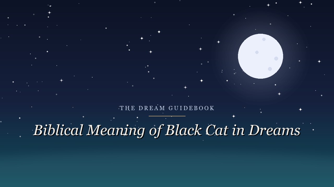 Biblical Meaning of a Black Cat in Dreams: What Scripture Really Offers