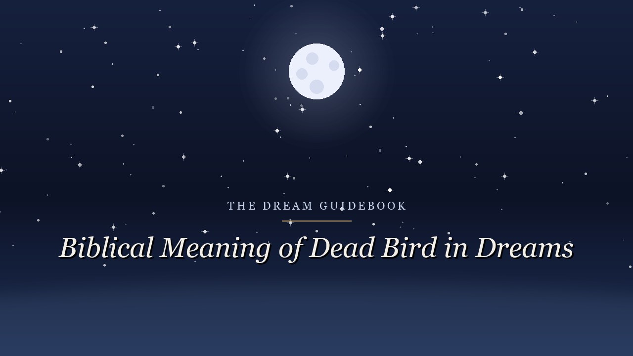 Biblical Meaning of a Dead Bird in Dreams: What Scripture Says About Loss, Care, and Endings