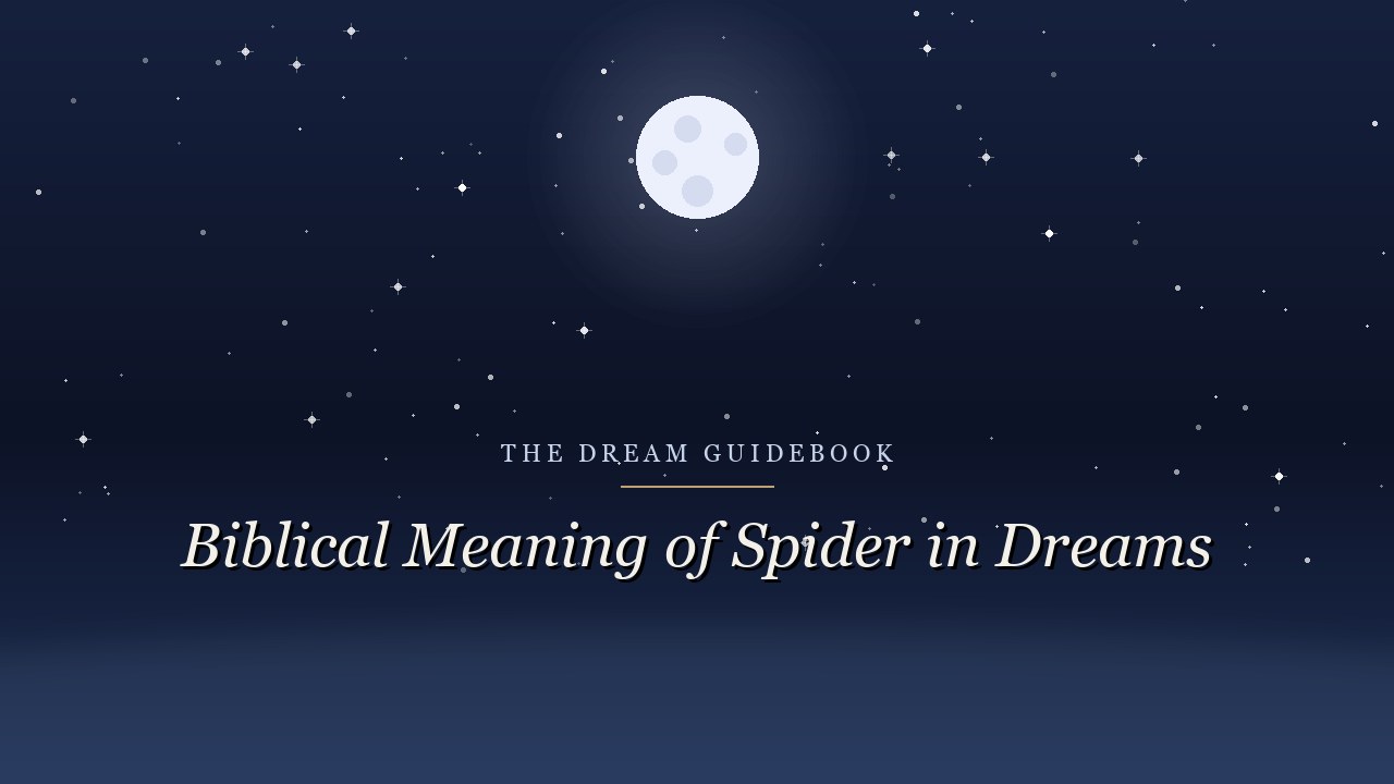 Biblical Meaning of Spiders in Dreams: What Scripture Says