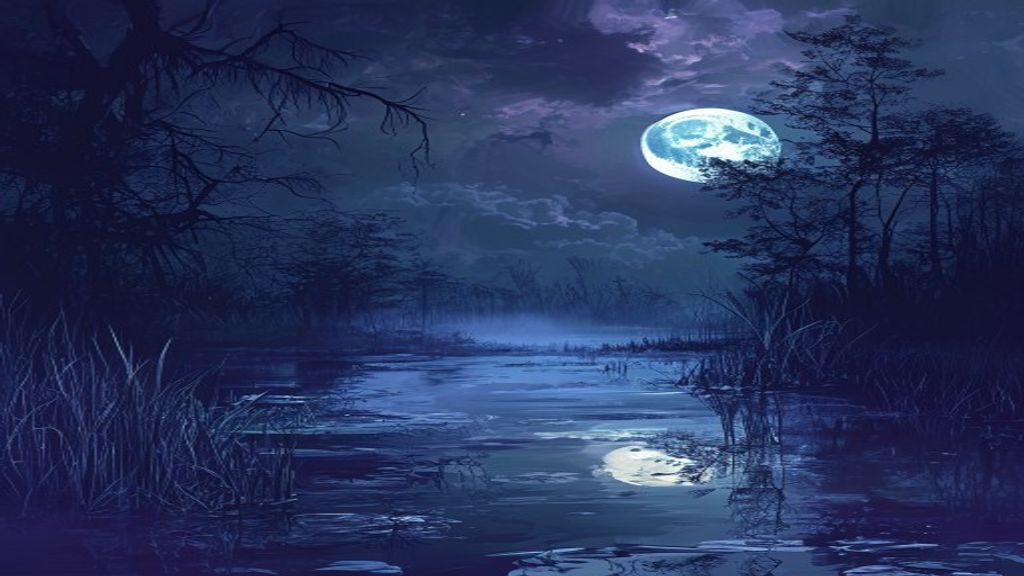 Dreaming of a Swamp: What Murky Ground Is Trying to Say