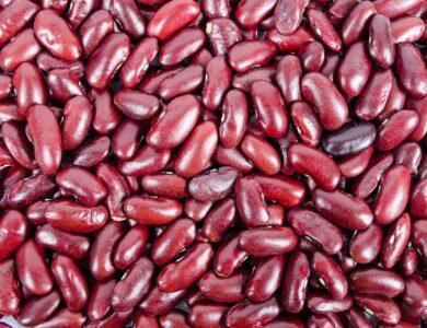 Kidney Bean Dream Meaning : What Does It Mean ?