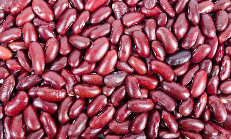 Kidney Bean Dream Meaning : What Does It Mean ?