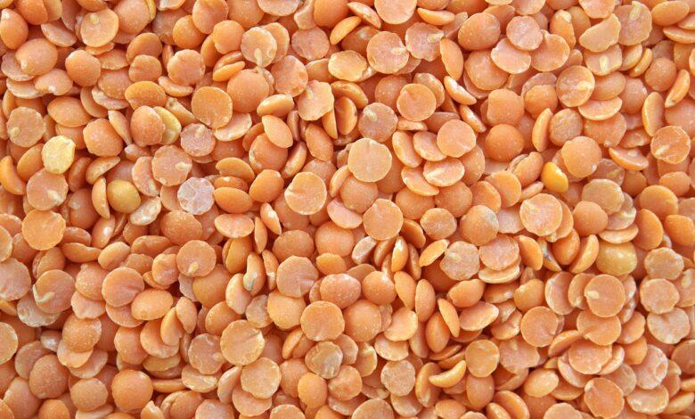 Lentil Dream Meaning : What Does It Mean ?