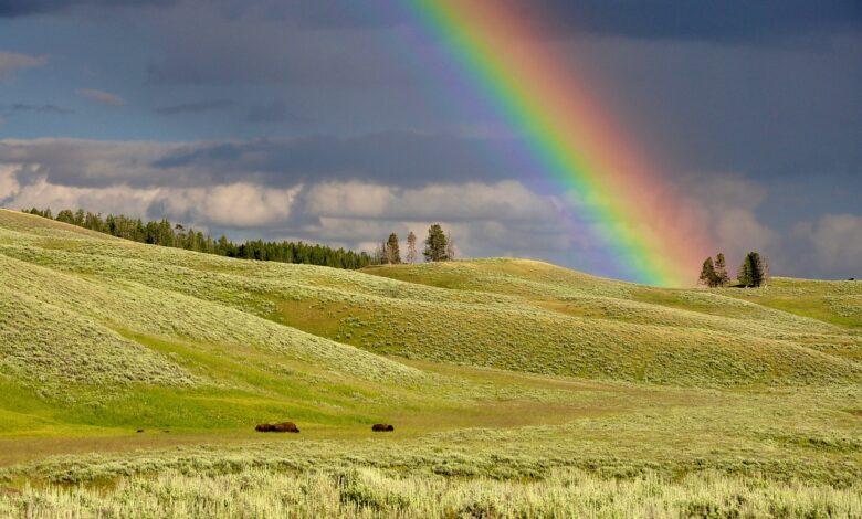 Rainbow Dream Meaning : What Does It Mean ?
