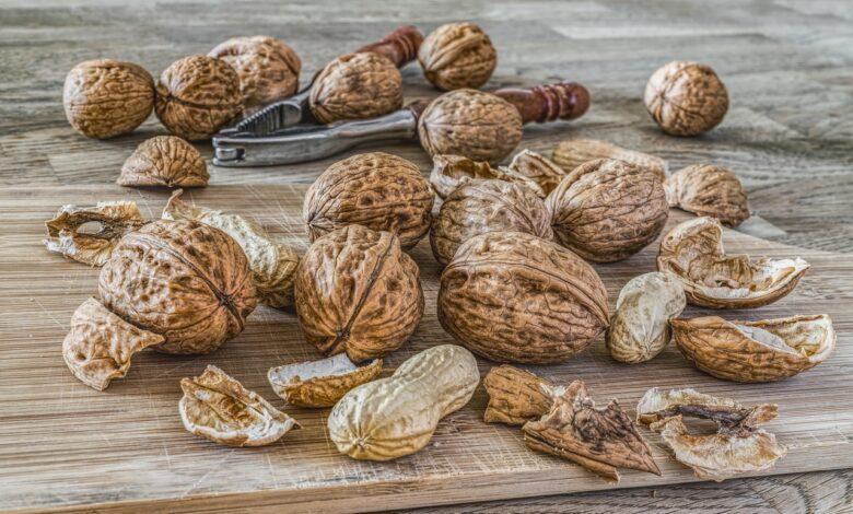 Walnut Dream Meaning : What Does It Mean ?