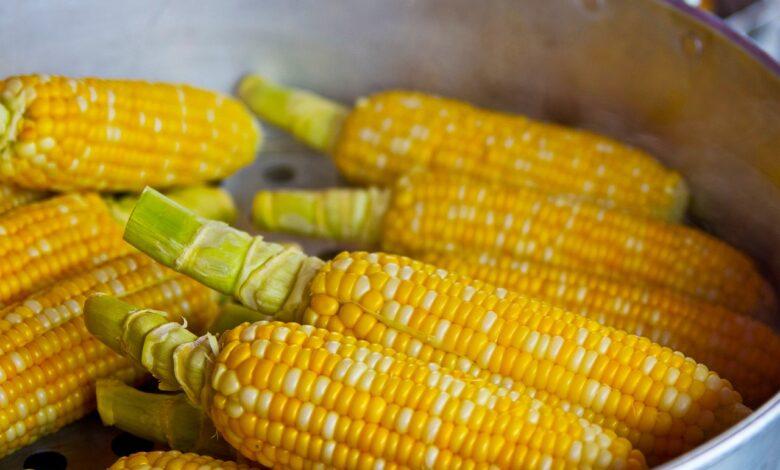 Corn Dream Meaning : What Does It Mean ?