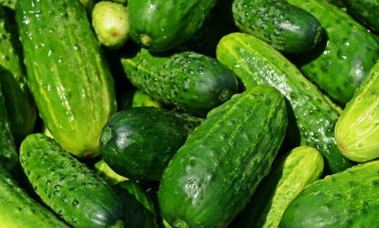 Cucumber Dream Meaning : What Does It Mean ?