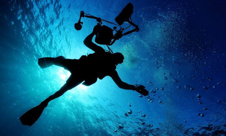 Diver Dream Meaning : What Does It Mean ?