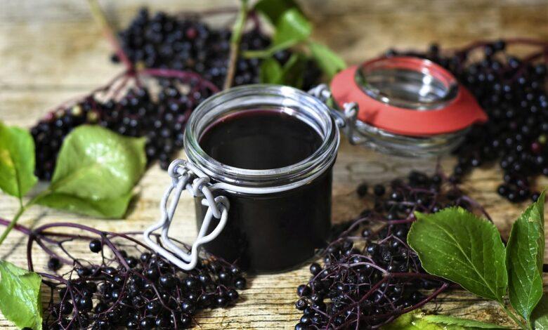 Elderberries Dream Meaning : What Does It Mean ?