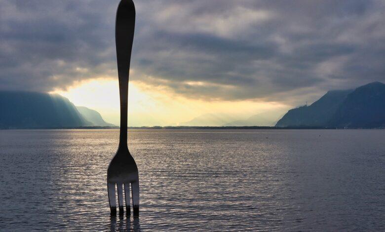 Fork Dream Meaning : What Does It Mean ?