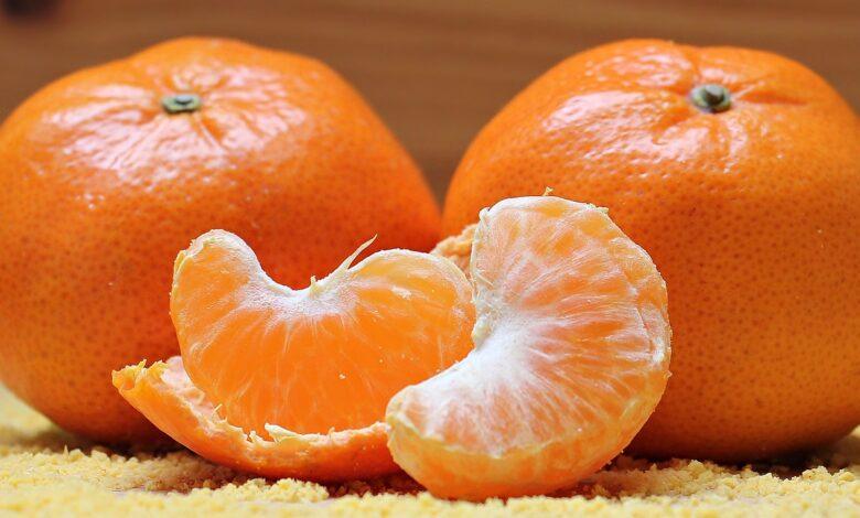 Tangerine Dream Meaning : What Does It Mean ?