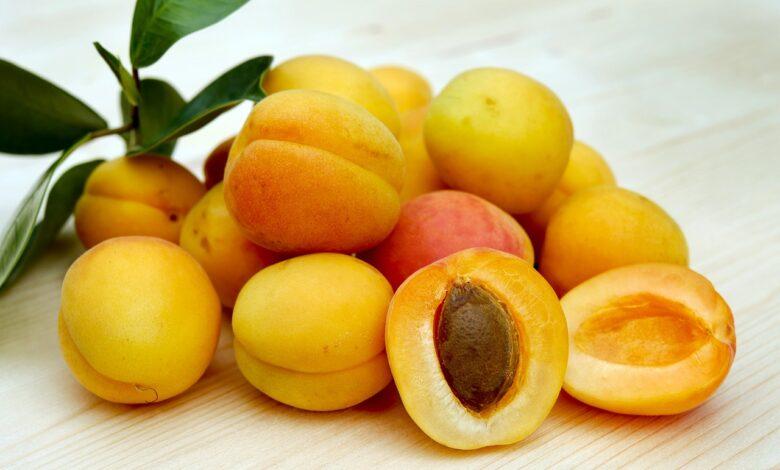 Apricot Dream Meaning and Interpretation