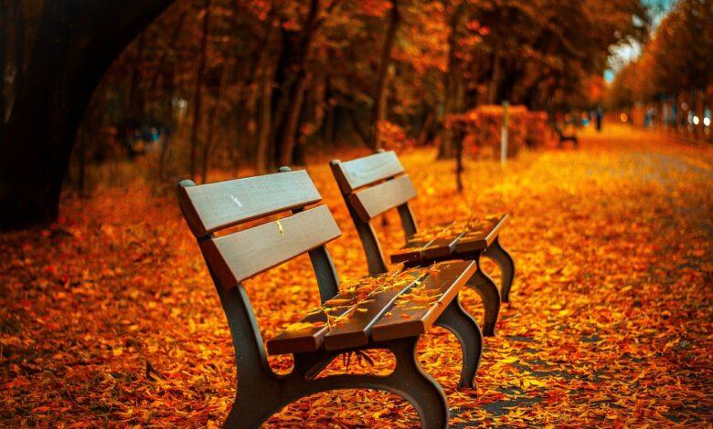 Bench Dream Meaning and Interpretation